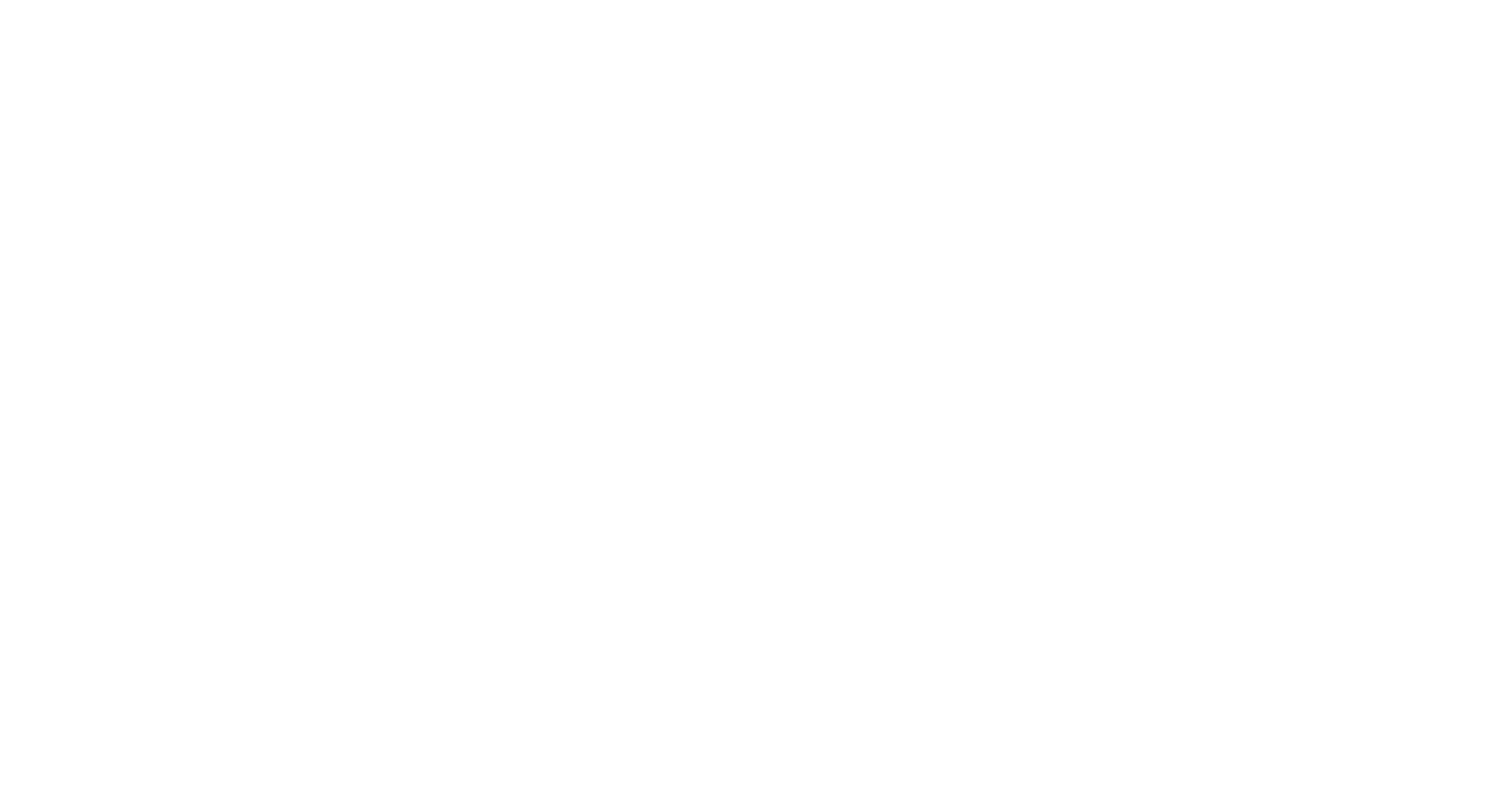 TORRENTT.